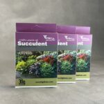 کود مخصوص ساکولنت (succulent)